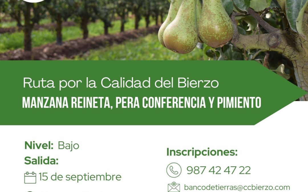 Abierta la inscripción para la Ruta por la Calidad del Bierzo dedicada al pimiento, manzana reineta y pera conferencia