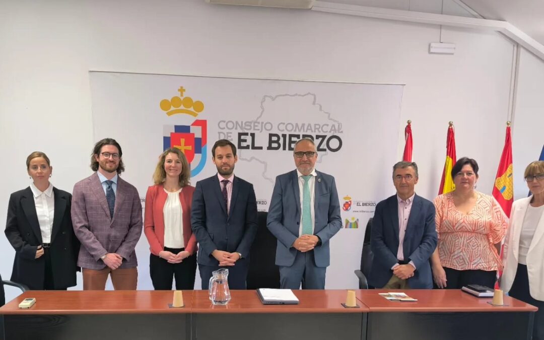 El Consejo recibe a una delegación de la OCDE para abordar el problema de la despoblación