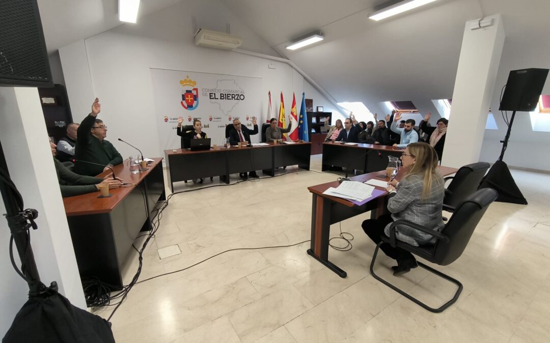 El Consejo inicia el pleno extraordinario con un minuto de silencio en recuerdo de las víctimas de violencia de género