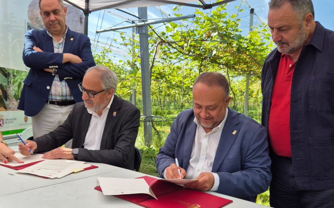 Mayor compromiso