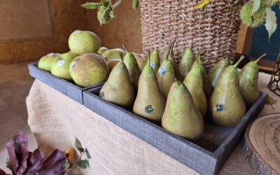 Jornadas Gastronómicas