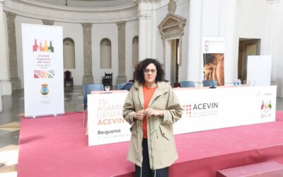 ACEVIN