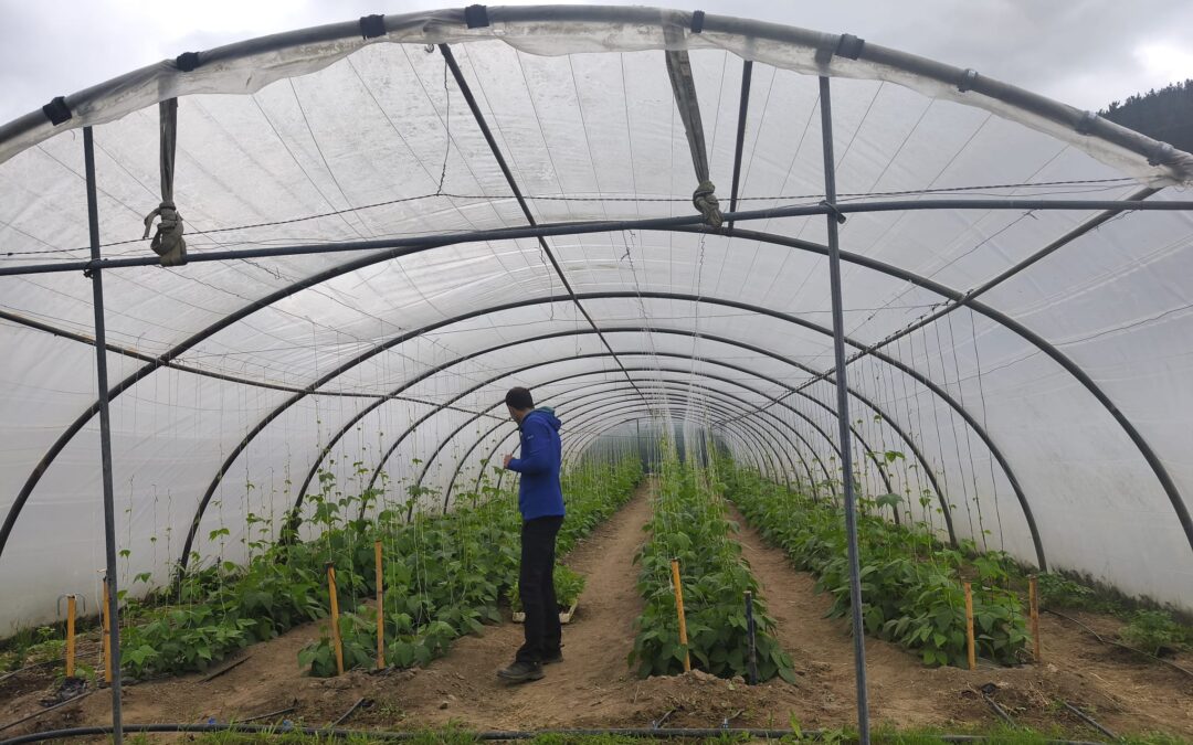 Espacio Test Agrario