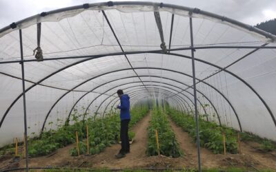 Espacio Test Agrario