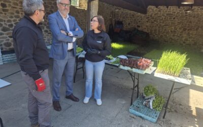 Entrega de plantones